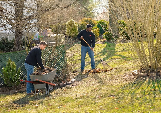 Two people are working in a yard on a sunny day; one is filling a wheelbarrow with leaves while the other is raking leaves into a pile. Leafless trees and green bushes surround the area.