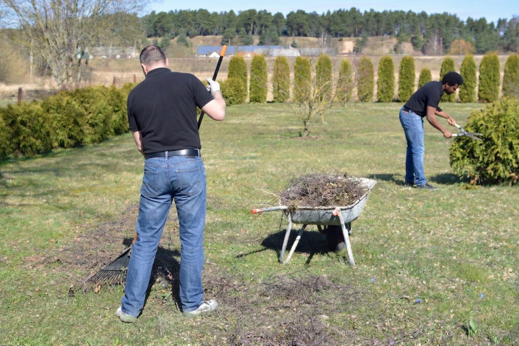 Two people working in a yard; one is raking leaves while the other trims bushes near a wheelbarrow filled with yard debris. The scene is set in a grassy area with trees and shrubs in the background.